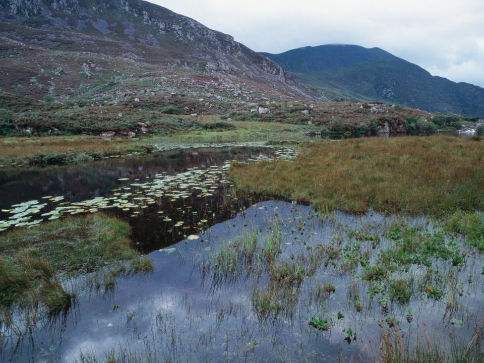 Part of the Gap of Dunloe