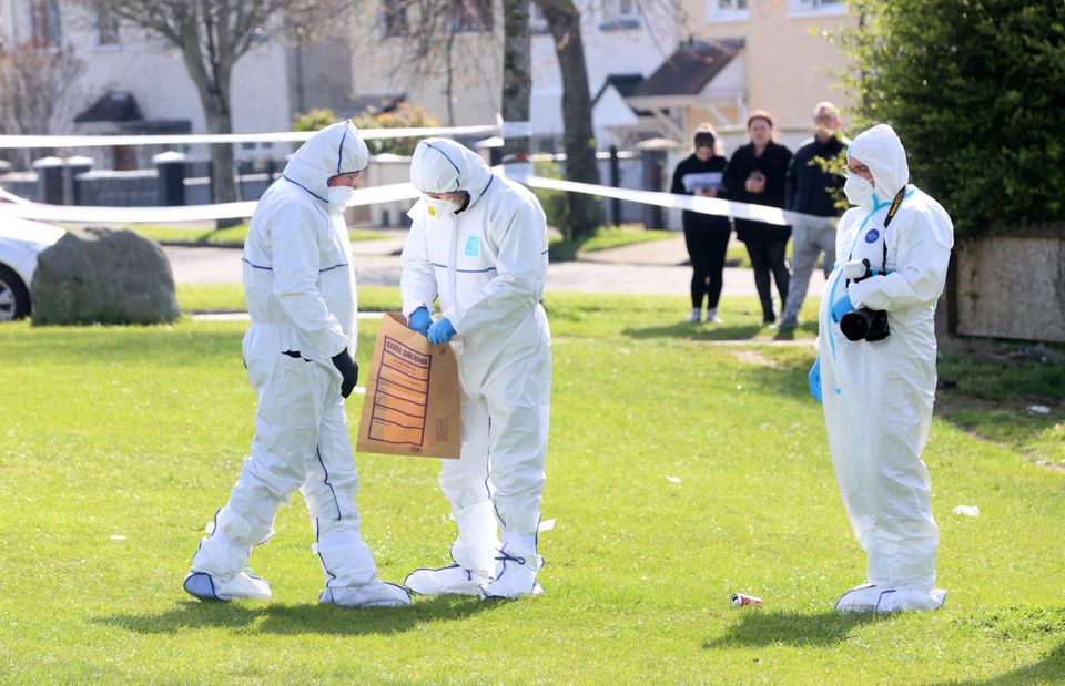 Gardaí put an item into an evidence bag at the murder site