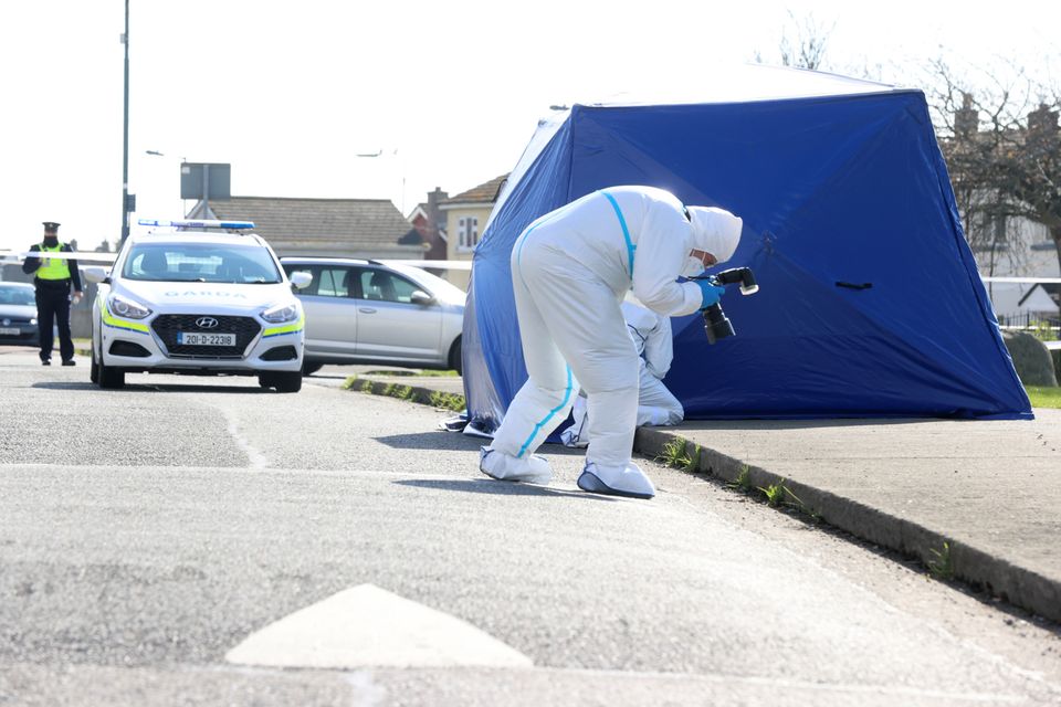 Gardaí gather evidence at the spot where James Whelan was shot dead